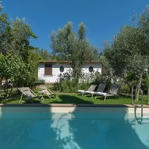 Galli , Calenzano Italia